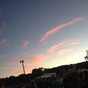 Meet your Posher, Liz